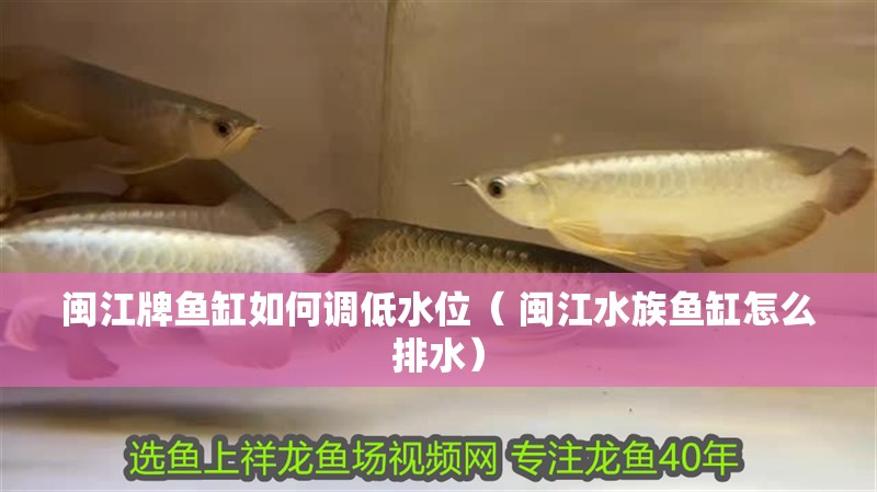 閩江牌魚缸如何調低水位（ 閩江水族魚缸怎么排水） 閩江牌魚缸如何調低水位（ 閩江水族魚缸怎么排水） 觀賞魚百科