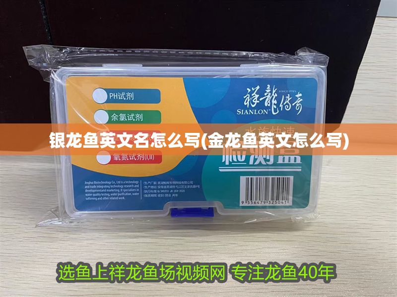 銀龍魚英文名怎么寫(金龍魚英文怎么寫) 銀龍魚英文名怎么寫(金龍魚英文怎么寫) 銀龍魚百科 第1張