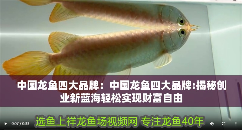 中國(guó)龍魚四大品牌：中國(guó)龍魚四大品牌:揭秘創(chuàng)業(yè)新藍(lán)海輕松實(shí)現(xiàn)財(cái)富自由