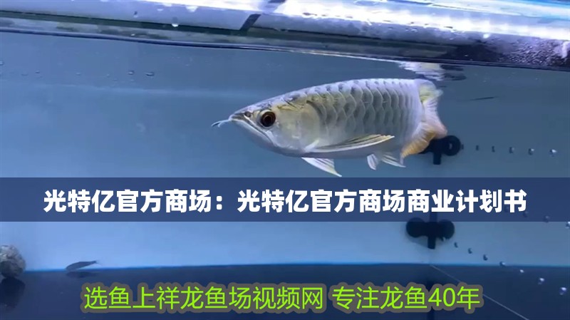 光特億官方商場:光特億官方商場商業(yè)計劃書 全國水族館企業(yè)名錄 光特億官方商場:光特億官方商場商業(yè)計劃書 光特億官方商場:光特億官方商場商業(yè)計劃書 全國水族館企業(yè)名錄