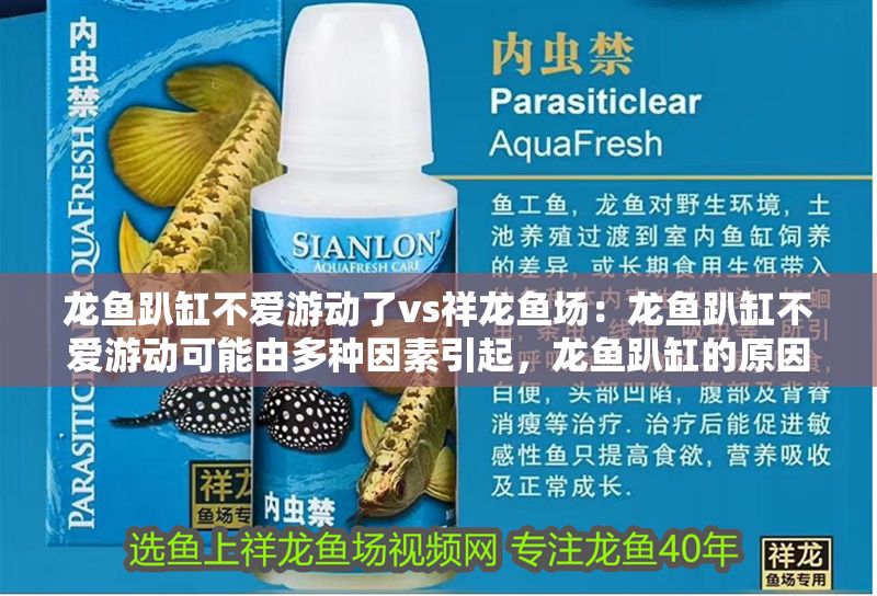 龍魚趴缸不愛游動了vs祥龍魚場：龍魚趴缸不愛游動可能由多種因素引起，龍魚趴缸的原因及處理方法
