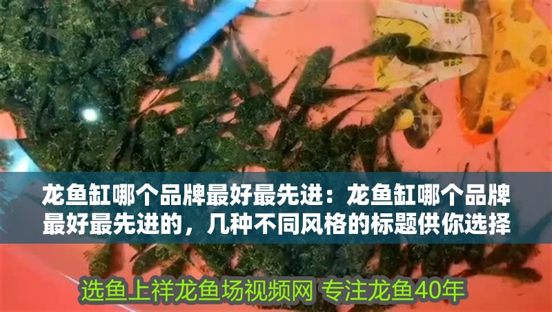 龍魚缸哪個品牌最好最先進：龍魚缸哪個品牌最好最先進的，幾種不同風格的標題供你選擇，，探尋龍魚缸領域的頂尖品牌，誰最先進最優？，聚焦龍魚缸品牌，解鎖最先進、最好的那一款，深度剖析，龍魚缸品牌中最好且最先進的究竟是哪家？：漢霸龍魚缸設計最好且最好且最好且最好且最好且最先進