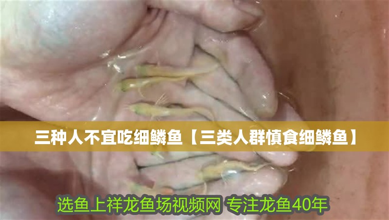 三種人不宜吃細鱗魚【三類人群慎食細鱗魚】 龍魚論壇 三種人不宜吃細鱗魚【三類人群慎食細鱗魚】 三種人不宜吃細鱗魚【三類人群慎食細鱗魚】 龍魚論壇