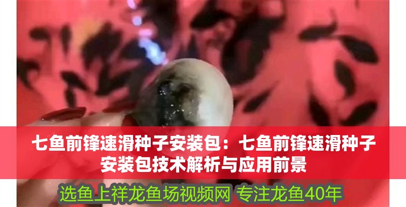 七魚前鋒速滑種子安裝包：七魚前鋒速滑種子安裝包技術(shù)解析與應(yīng)用前景