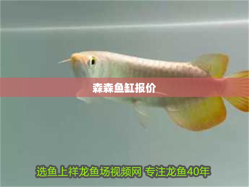 森森魚缸報價