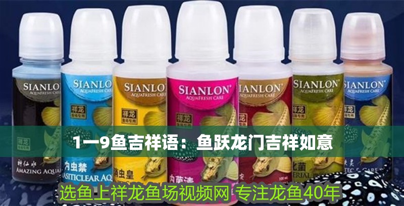 1一9魚吉祥語：魚躍龍門吉祥如意