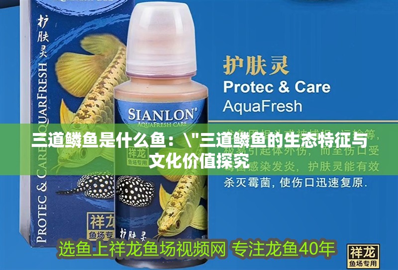 三道鱗魚(yú)是什么魚(yú)：\