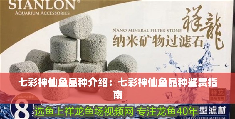 七彩神仙魚品種介紹：七彩神仙魚品種鑒賞指南