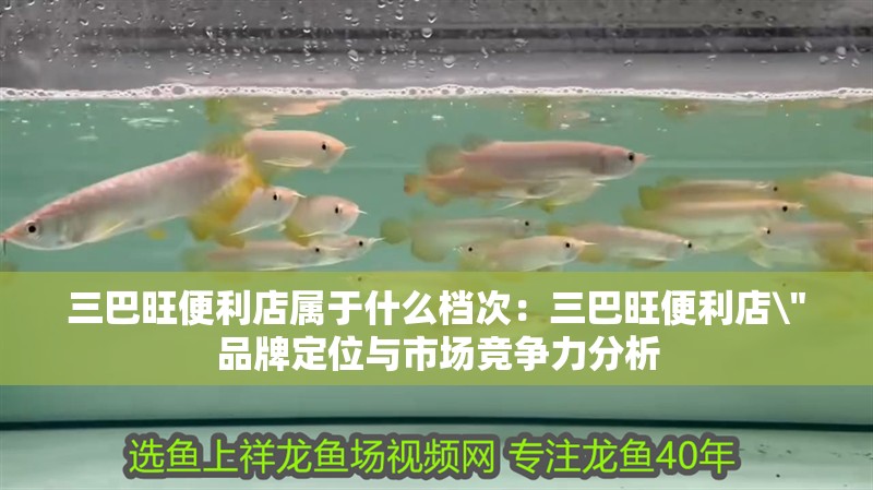 三巴旺便利店屬于什么檔次：三巴旺便利店\