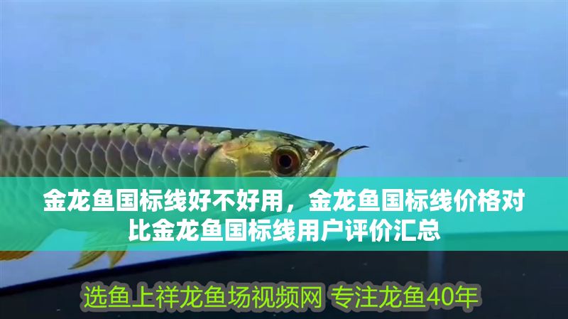 金龍魚國標(biāo)線好不好用，金龍魚國標(biāo)線價(jià)格對比金龍魚國標(biāo)線用戶評價(jià)匯總