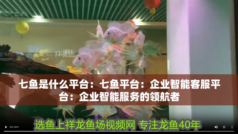 七魚是什么平臺:七魚平臺:企業智能客服平臺:企業智能服務的領航者 龍魚論壇 七魚是什么平臺:七魚平臺:企業智能客服平臺:企業智能服務的領航者 七魚是什么平臺:七魚平臺:企業智能客服平臺:企業智能服務的領航者 龍魚論壇