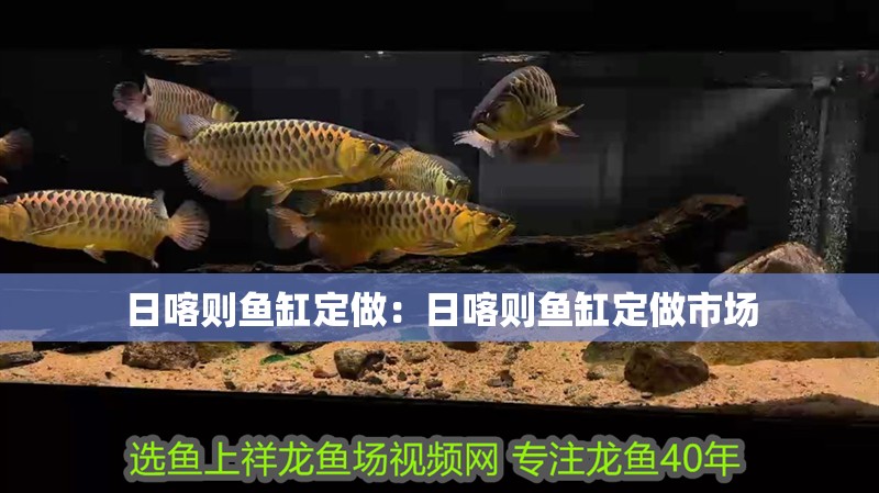 日喀則魚缸定做：日喀則魚缸定做市場(chǎng)