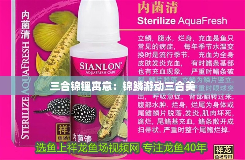 三合錦鋰寓意：錦鱗游動(dòng)三合美