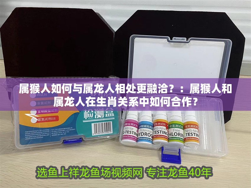 屬猴人如何與屬龍人相處更融洽？：屬猴人和屬龍人在生肖關系中如何合作？