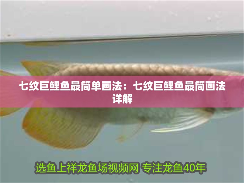 七紋巨鯉魚最簡單畫法：七紋巨鯉魚最簡畫法詳解