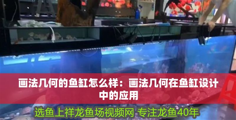 畫法幾何的魚缸怎么樣：畫法幾何在魚缸設計中的應用