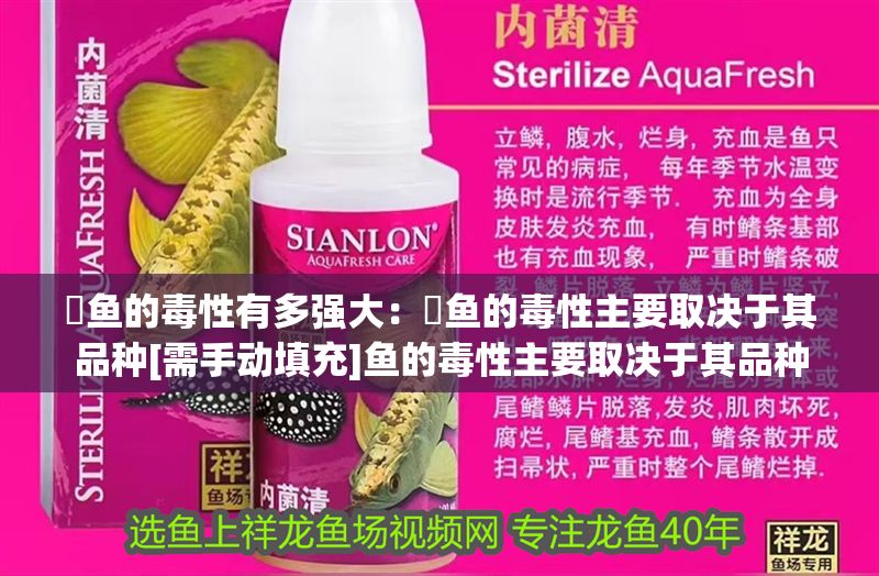 魟魚(yú)的毒性有多強(qiáng)大：魟魚(yú)的毒性主要取決于其品種[需手動(dòng)填充]魚(yú)的毒性主要取決于其品種 魟魚(yú)的毒性有多強(qiáng)大：魟魚(yú)的毒性主要取決于其品種[需手動(dòng)填充]魚(yú)的毒性主要取決于其品種 魟魚(yú)百科 第1張