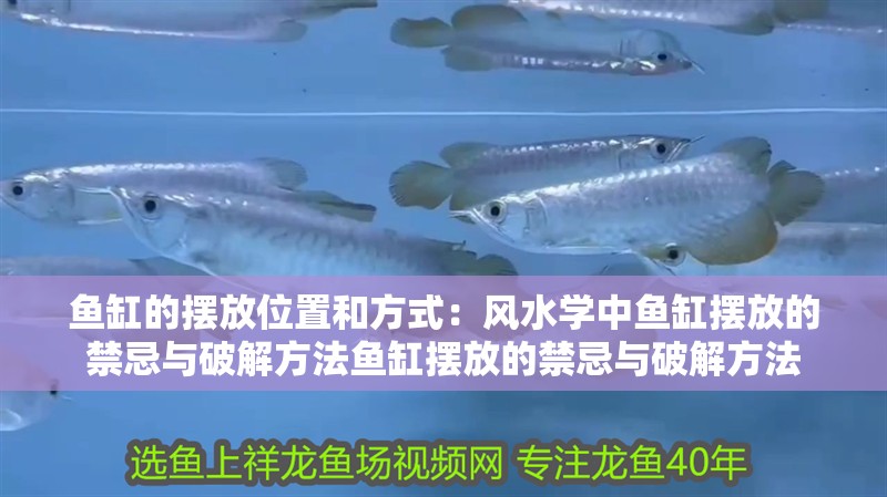 魚缸的擺放位置和方式：風水學中魚缸擺放的禁忌與破解方法魚缸擺放的禁忌與破解方法 魚缸的擺放位置和方式：風水學中魚缸擺放的禁忌與破解方法魚缸擺放的禁忌與破解方法 魚缸百科