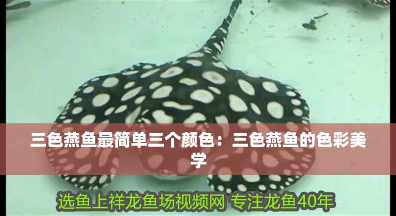 三色燕魚最簡單三個顏色：三色燕魚的色彩美學