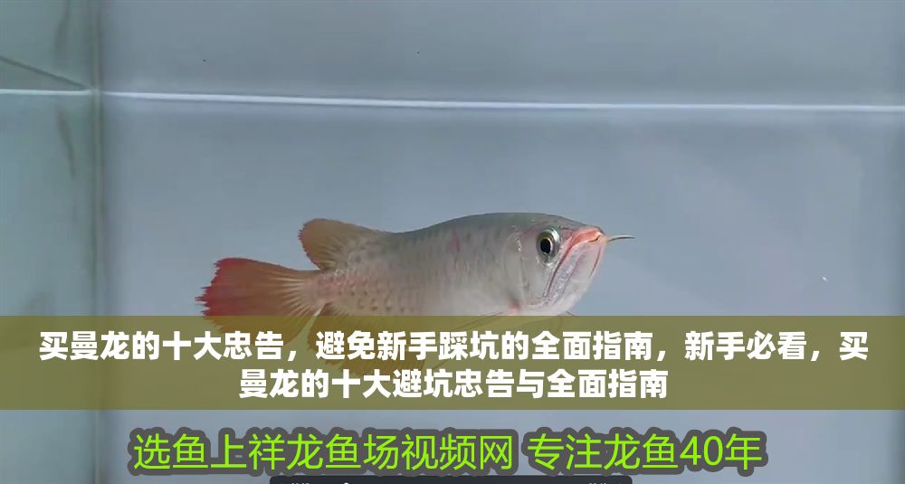 買曼龍的十大忠告，避免新手踩坑的全面指南，新手必看，買曼龍的十大避坑忠告與全面指南 買曼龍的十大忠告，避免新手踩坑的全面指南，新手必看，買曼龍的十大避坑忠告與全面指南 龍魚百科 第1張