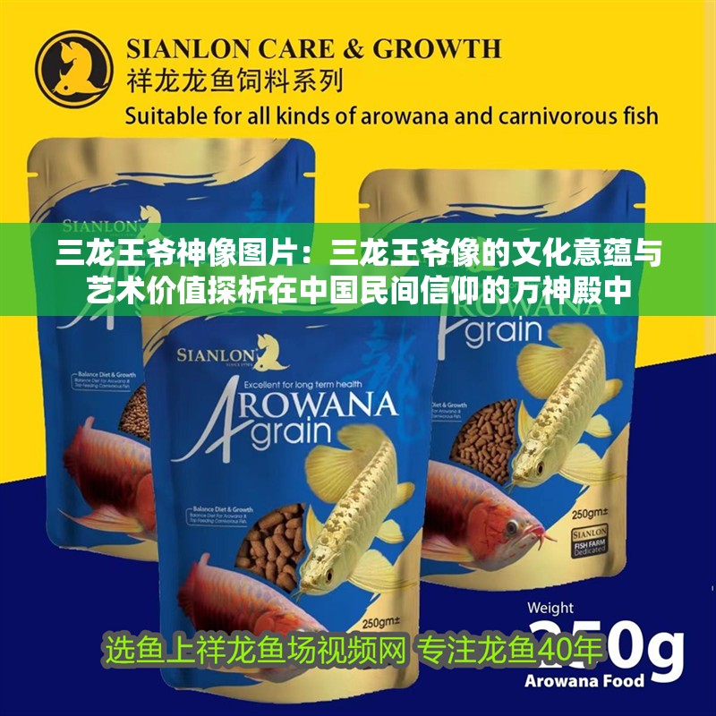 三龍王爺神像圖片：三龍王爺像的文化意蘊與藝術價值探析在中國民間信仰的萬神殿中