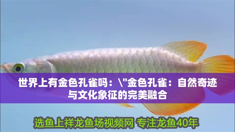 世界上有金色孔雀嗎：\