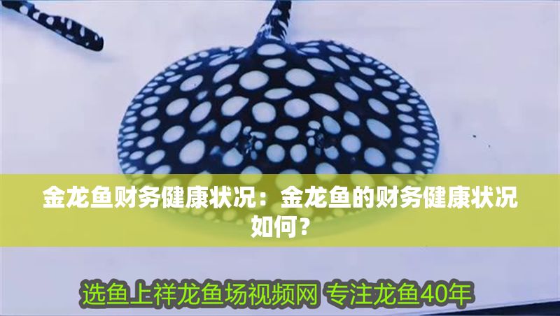 金龍魚財務健康狀況：金龍魚的財務健康狀況如何？