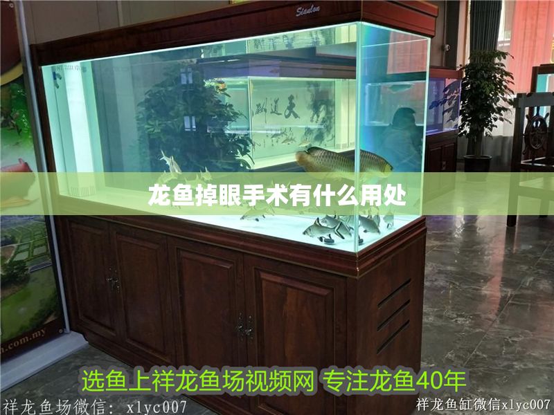 龍魚掉眼手術有什么用處