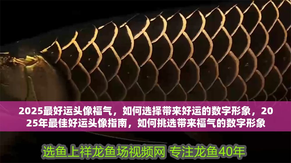 2025最好運(yùn)頭像福氣，如何選擇帶來(lái)好運(yùn)的數(shù)字形象，2025年最佳好運(yùn)頭像指南，如何挑選帶來(lái)福氣的數(shù)字形象