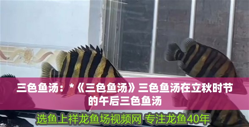 三色魚湯：*《三色魚湯》三色魚湯在立秋時節的午后三色魚湯