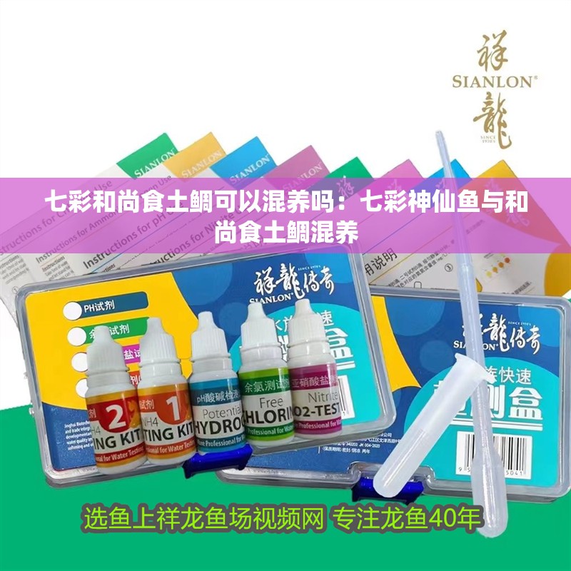 七彩和尚食土鯛可以混養(yǎng)嗎：七彩神仙魚與和尚食土鯛混養(yǎng)