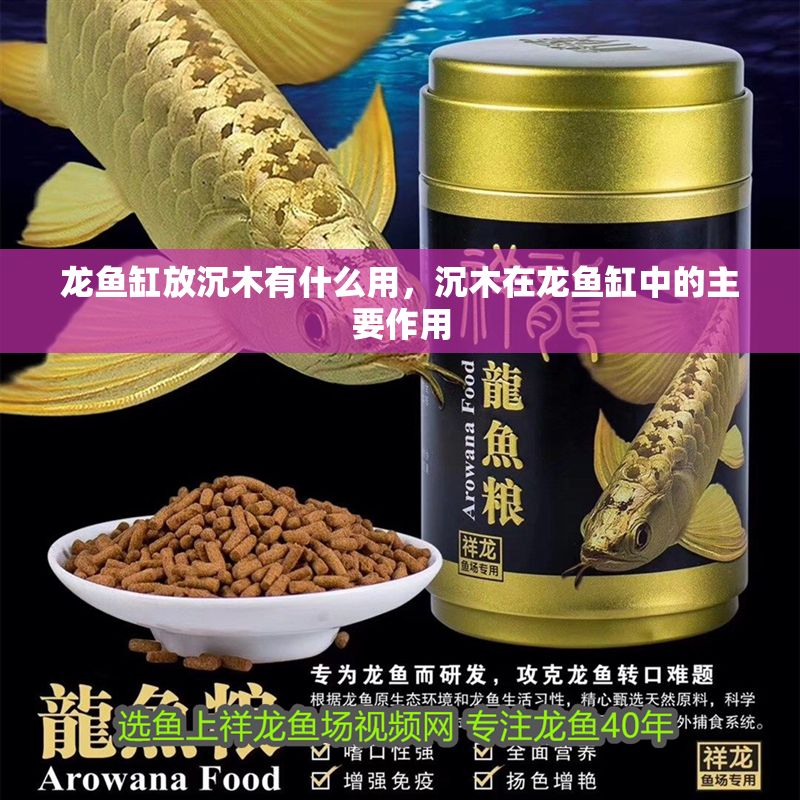 龍魚缸放沉木有什么用，沉木在龍魚缸中的主要作用