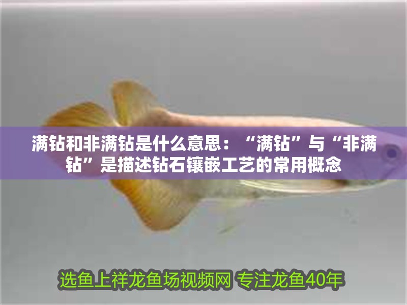 滿鉆和非滿鉆是什么意思：“滿鉆”與“非滿鉆”是描述鉆石鑲嵌工藝的常用概念