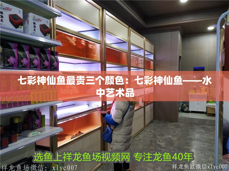 七彩神仙魚最貴三個顏色：七彩神仙魚——水中藝術品