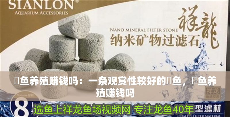 魟魚養殖賺錢嗎：一條觀賞性較好的魟魚，魟魚養殖賺錢嗎 魟魚養殖賺錢嗎：一條觀賞性較好的魟魚，魟魚養殖賺錢嗎 魟魚百科 第1張