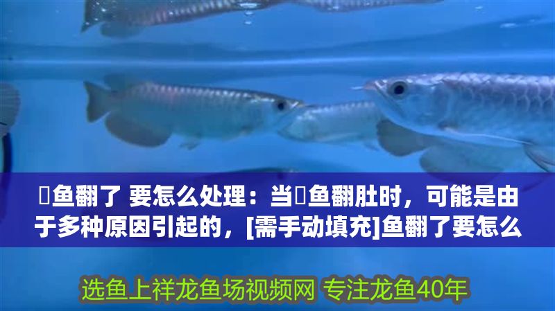 魟魚翻了 要怎么處理：當魟魚翻肚時，可能是由于多種原因引起的，[需手動填充]魚翻了要怎么處理
