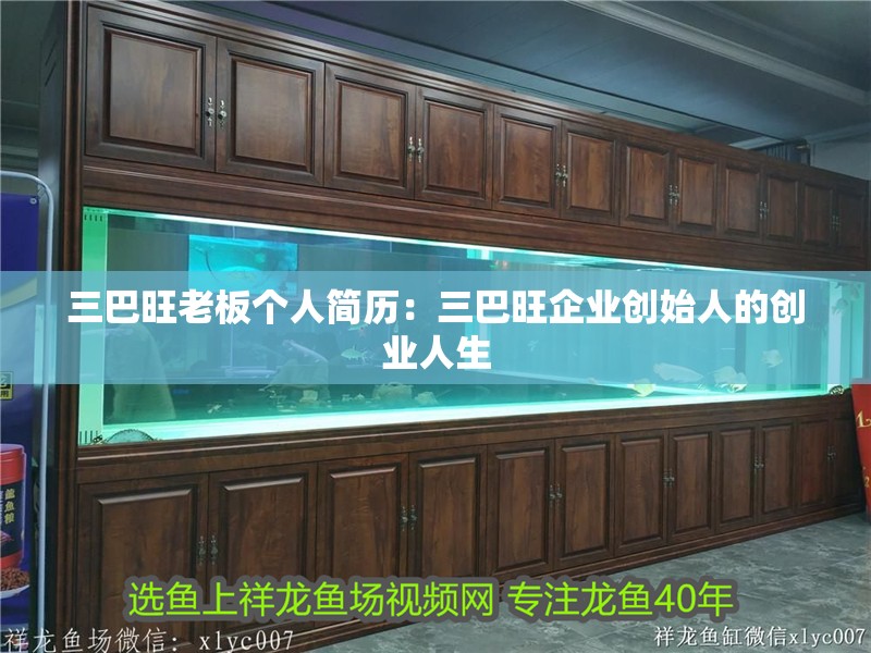 三巴旺老板個人簡歷：三巴旺企業創始人的創業人生