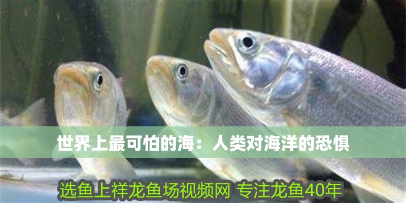 世界上最可怕的海：人類對海洋的恐懼