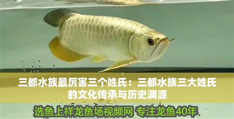 三都水族最厲害三個姓氏：三都水族三大姓氏的文化傳承與歷史淵源