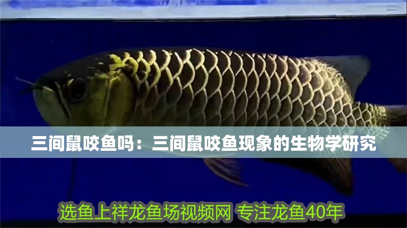 三間鼠咬魚嗎：三間鼠咬魚現象的生物學研究