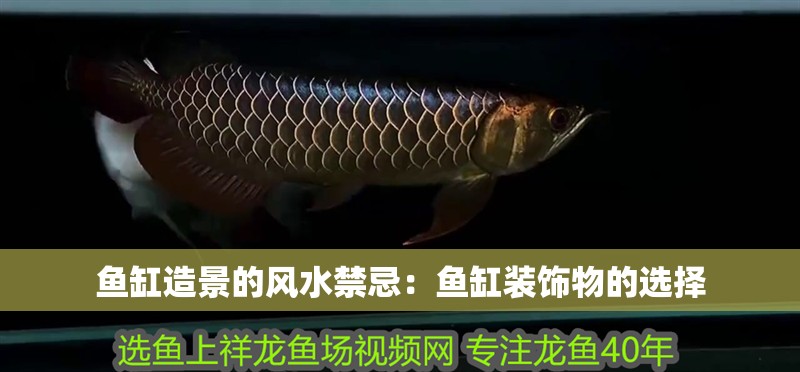 魚缸造景的風水禁忌：魚缸裝飾物的選擇