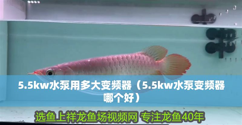 5.5kw水泵用多大變頻器（5.5kw水泵變頻器哪個好）