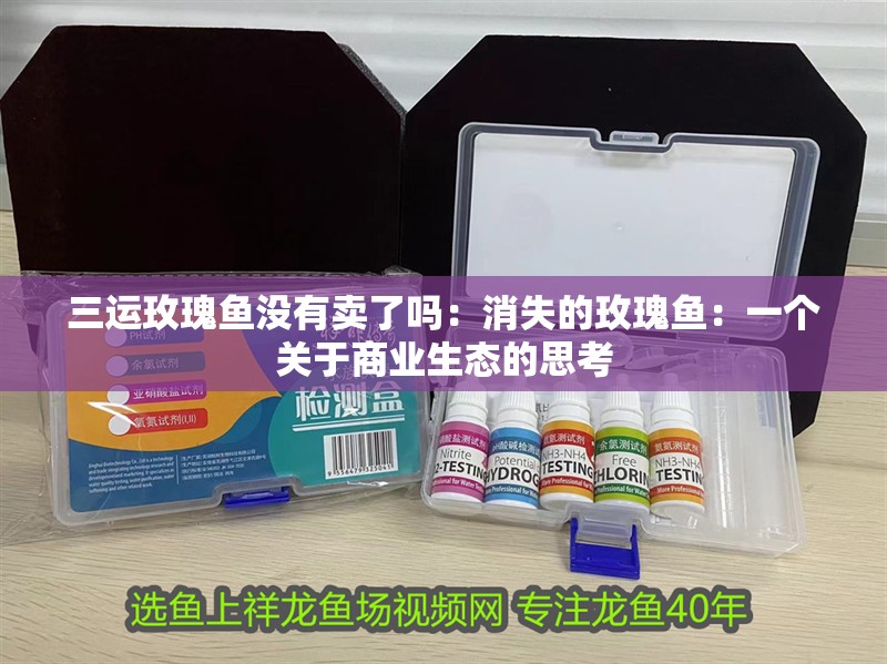 三運玫瑰魚沒有賣了嗎：消失的玫瑰魚：一個關于商業(yè)生態(tài)的思考