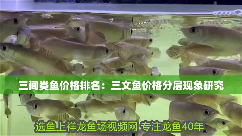 三間類魚價格排名：三文魚價格分層現象研究