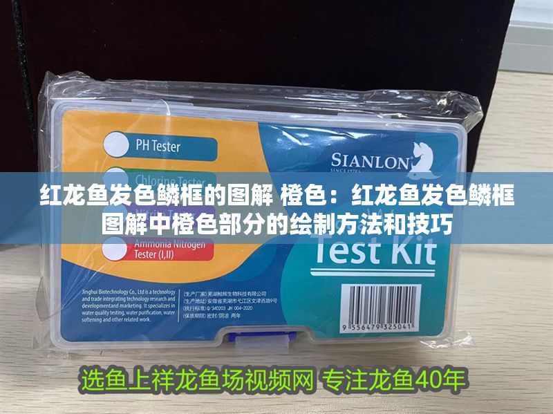 紅龍魚發色鱗框的圖解 橙色:紅龍魚發色鱗框圖解中橙色部分的繪制方法和技巧 紅龍魚百科 第1張 紅龍魚發色鱗框的圖解 橙色:紅龍魚發色鱗框圖解中橙色部分的繪制方法和技巧 紅龍魚發色鱗框的圖解 橙色:紅龍魚發色鱗框圖解中橙色部分的繪制方法和技巧 紅龍魚百科 第1張
