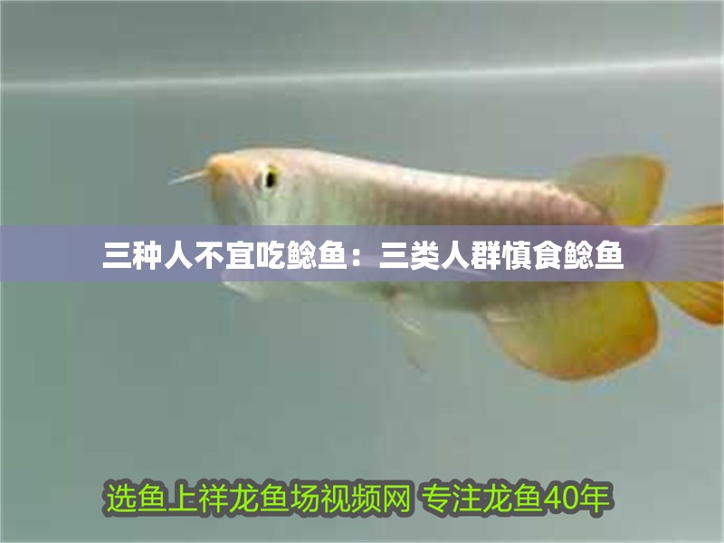 三種人不宜吃鯰魚(yú)：三類(lèi)人群慎食鯰魚(yú)