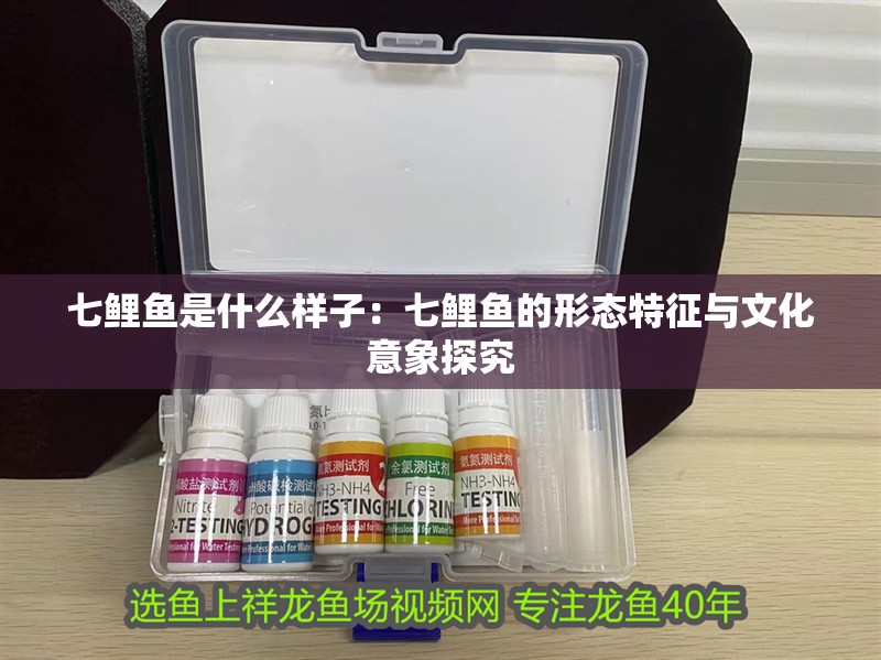 七鯉魚是什么樣子：七鯉魚的形態特征與文化意象探究