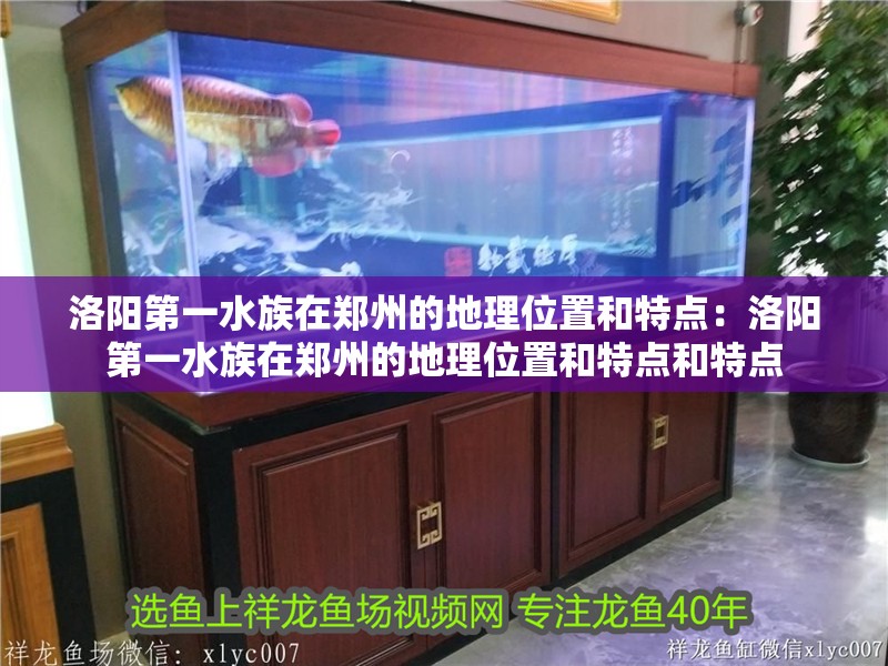 洛陽第一水族在鄭州的地理位置和特點：洛陽第一水族在鄭州的地理位置和特點和特點