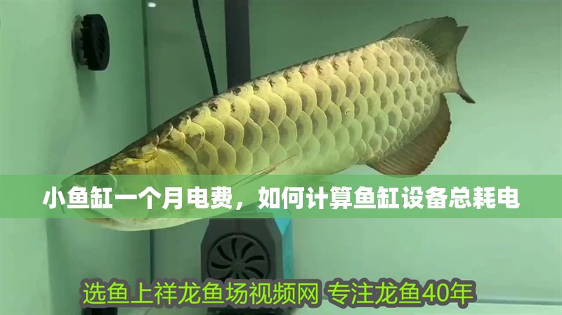 小魚缸一個月電費，如何計算魚缸設備總耗電