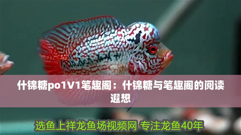 什錦糖po1∨1筆趣閣：什錦糖與筆趣閣的閱讀遐想